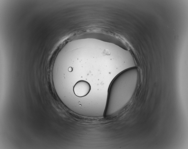 X0000083560675200703091617