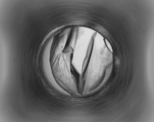 X0000083560676200703091617