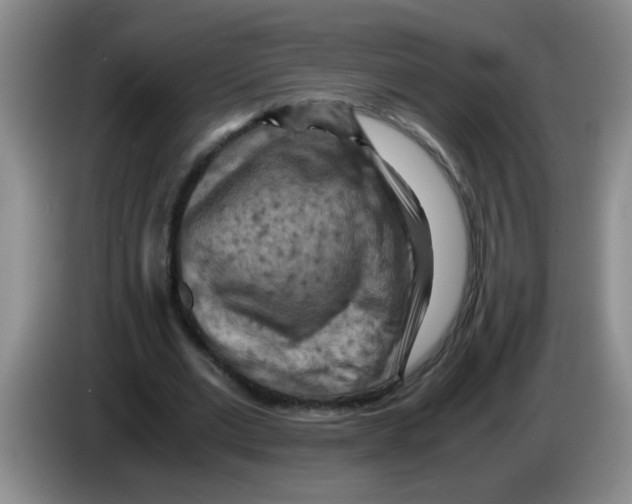 X0000083560677200703091617