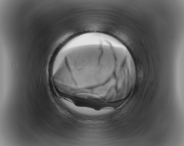 X0000083560678200703091617