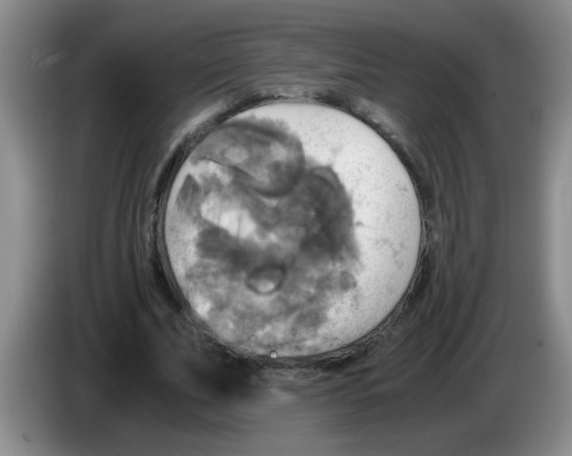 X0000083560679200703091617