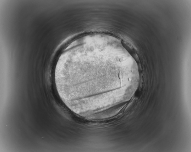 X0000083560680200703091617