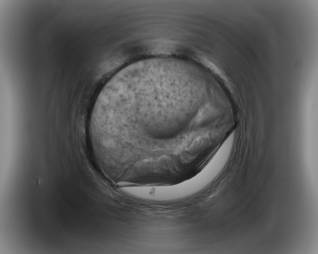 X0000083560681200703091617