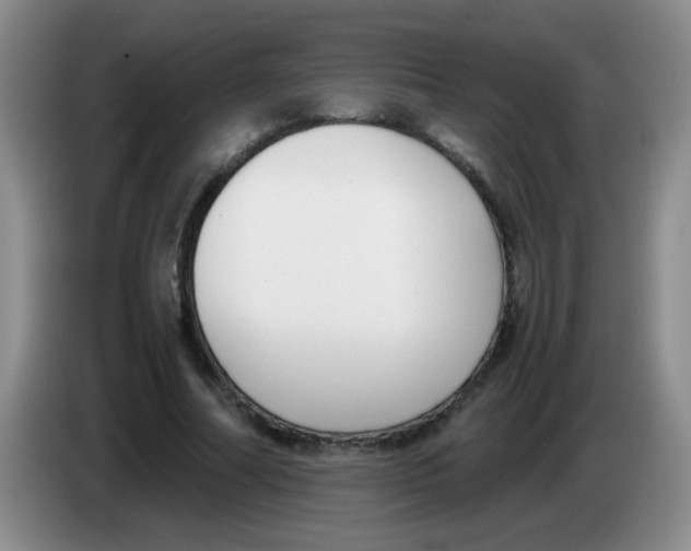 X0000083560682200703091617