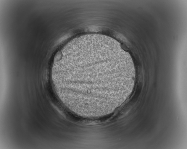 X0000083560683200703091617