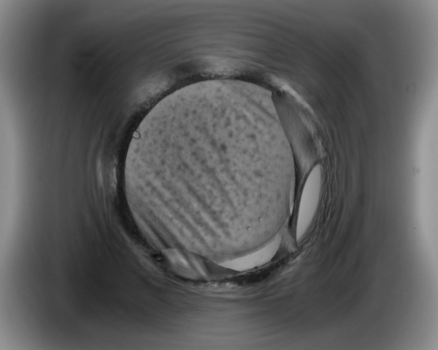 X0000083560685200703091617