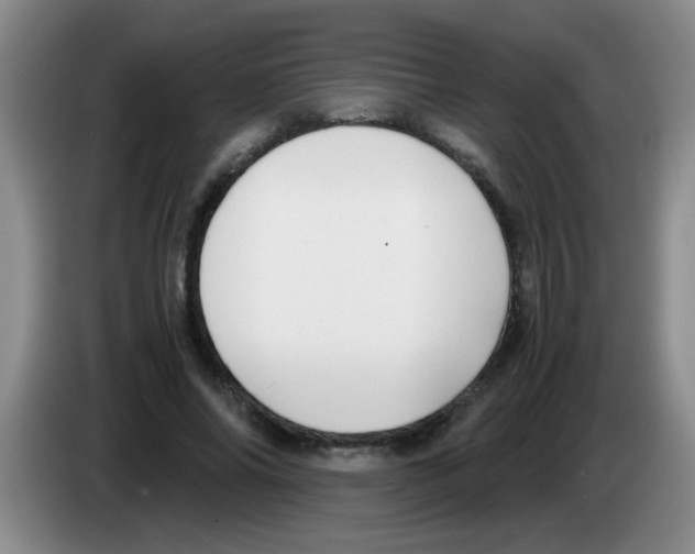 X0000083560686200703091617