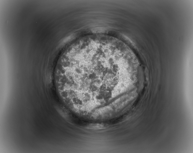 X0000083560687200703091617