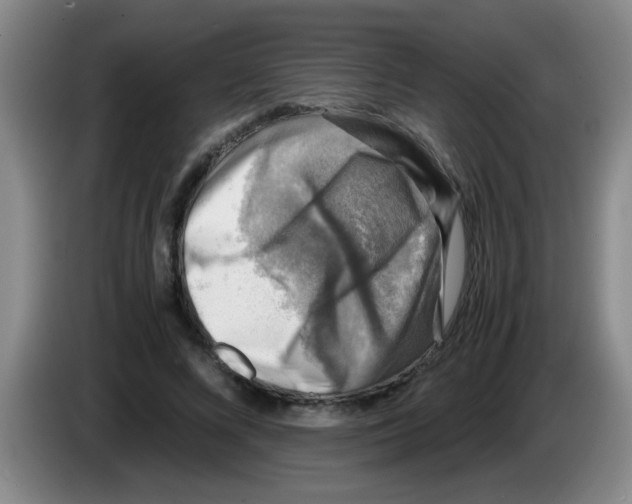 X0000083560688200703091616