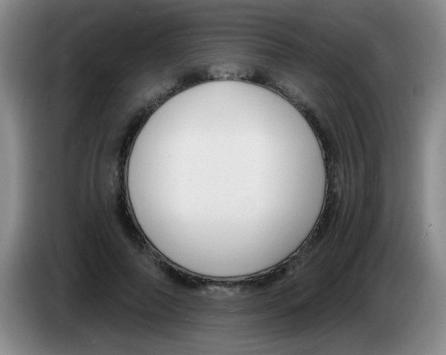 X0000083560690200703091616