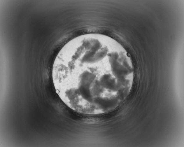 X0000083560691200703091616