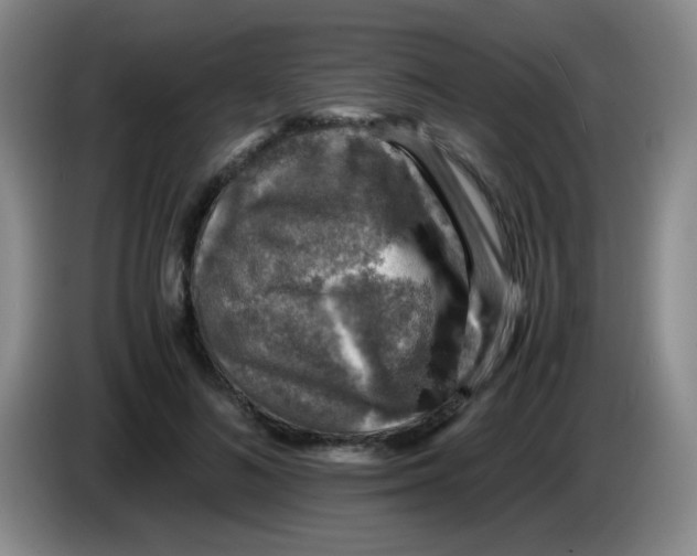 X0000083560692200703091616