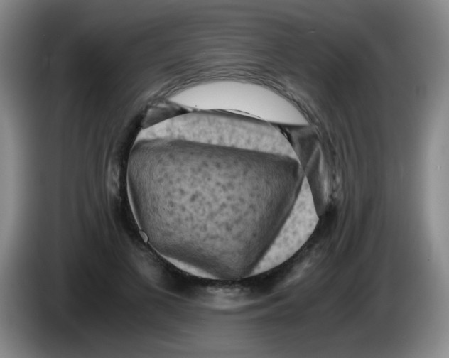 X0000083560693200703091616