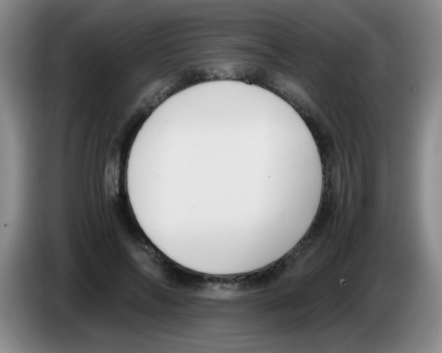 X0000083560694200703091616