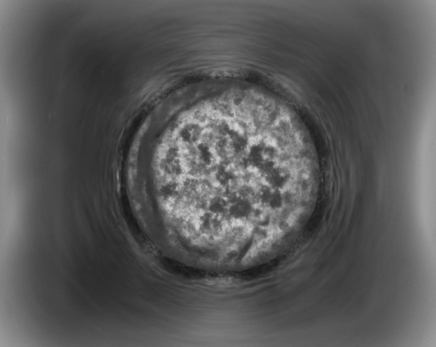 X0000083560695200703091616