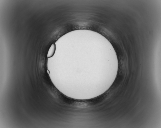 X0000083560698200703091616