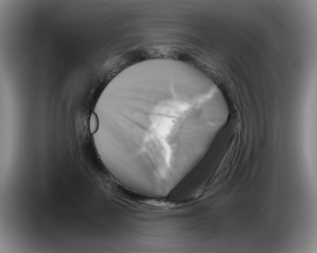 X0000083560699200703091616