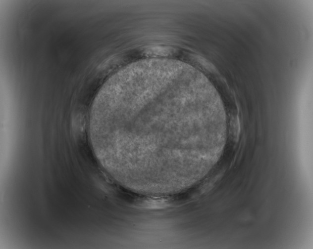 X0000083560701200703091616