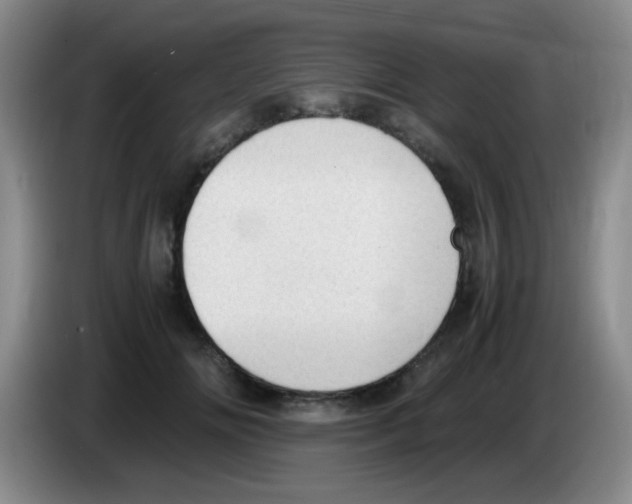 X0000083560702200703091616