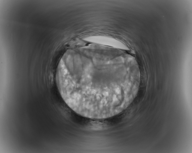 X0000083560703200703091616