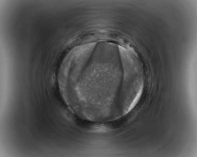 X0000083560704200703091616