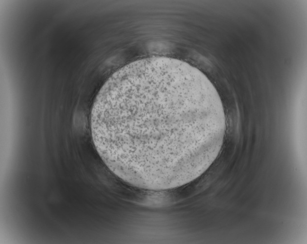 X0000083560705200703091616