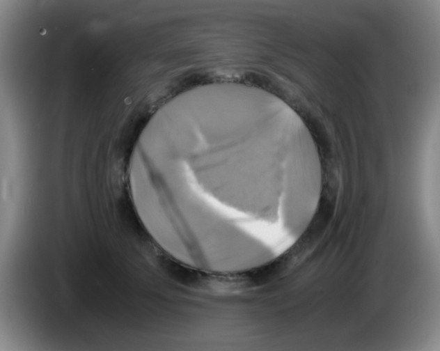 X0000083560707200703091616