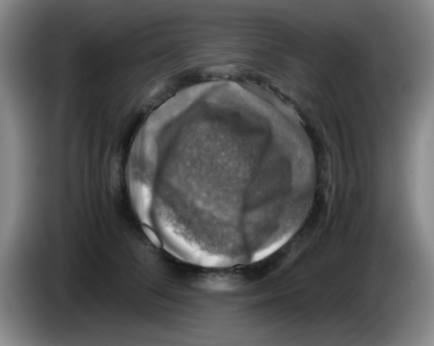 X0000083560708200703091616