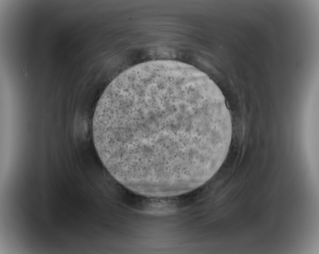 X0000083560709200703091616