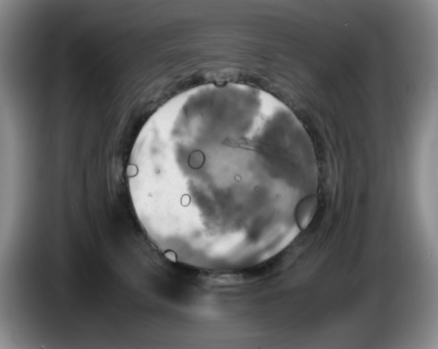 X0000083560711200703091616