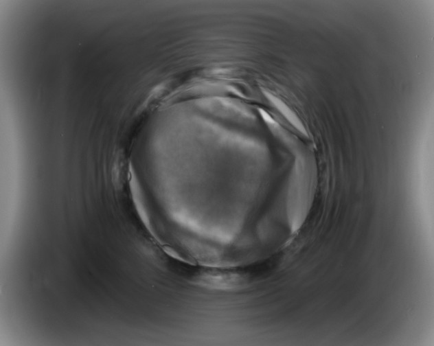 X0000083560712200703091616