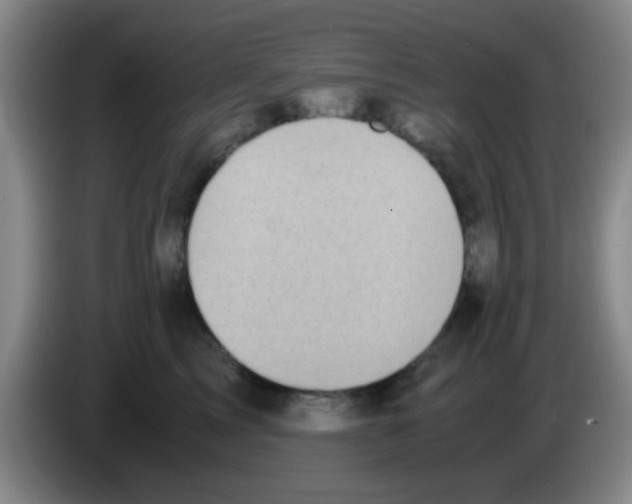 X0000083560713200703091616