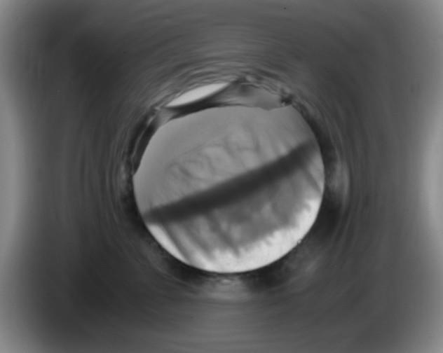 X0000083560715200703091616