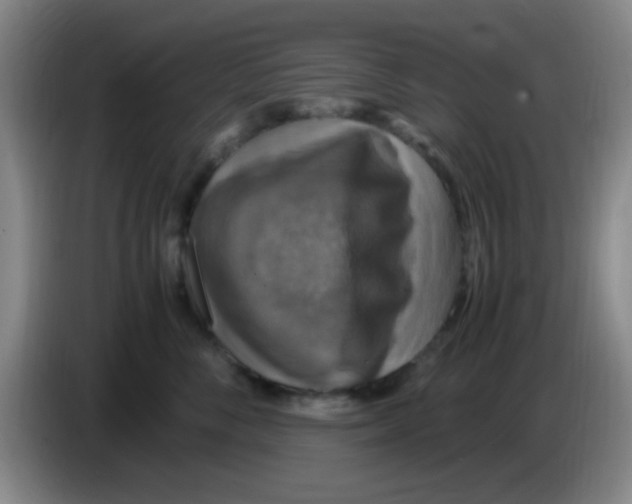 X0000083560716200703091616