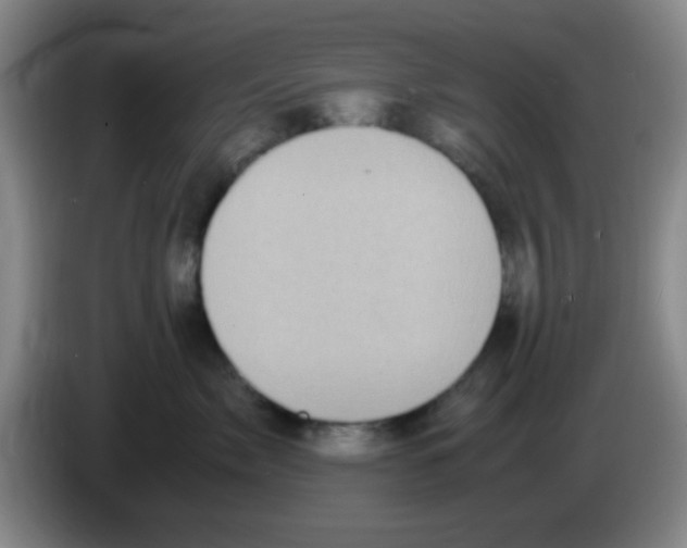 X0000083560717200703091616