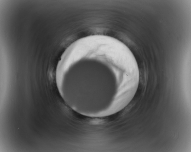 X0000083560718200703091616