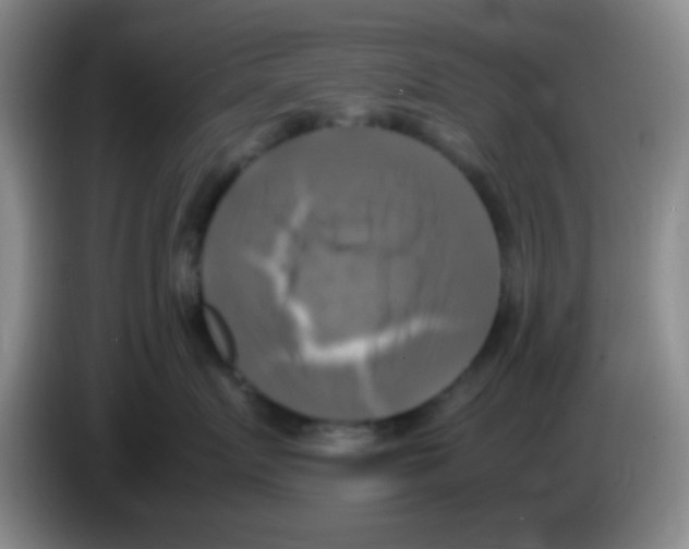 X0000083560719200703091616