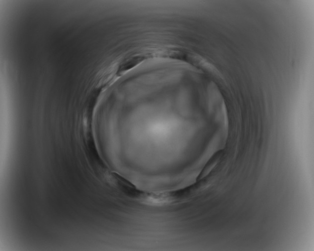 X0000083560720200703091616