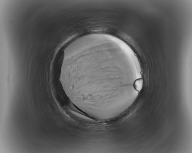 X0000083560721200703091615