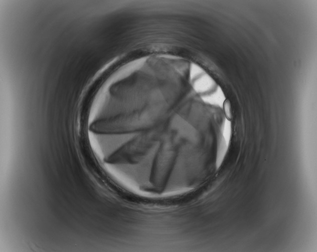 X0000083560722200703091615