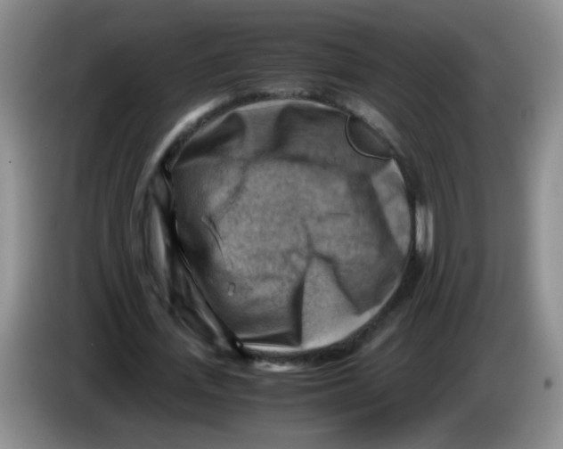 X0000083560723200703091615