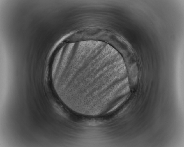 X0000083560724200703091615