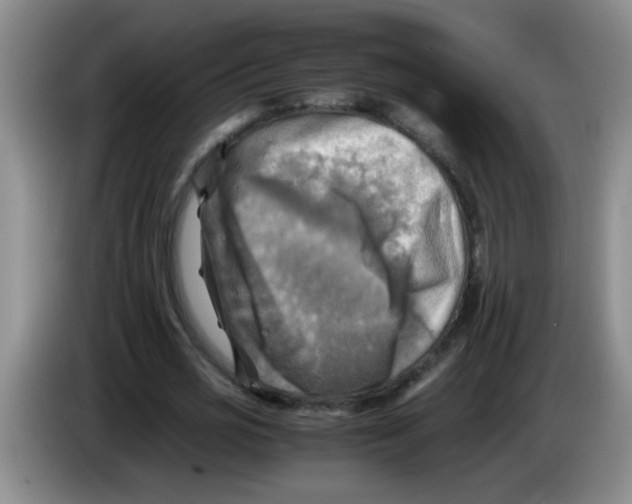 X0000083560725200703091615