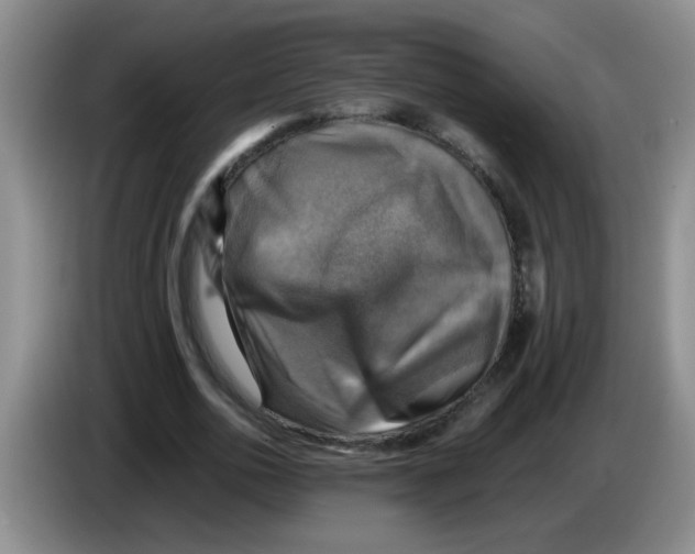 X0000083560726200703091615