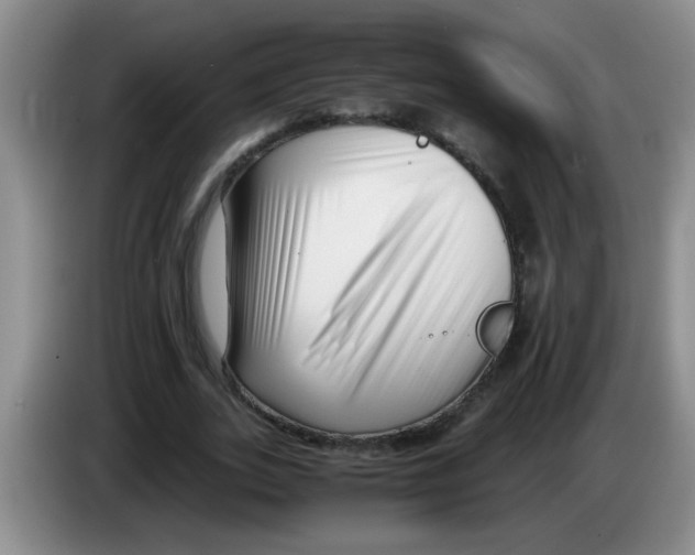 X0000083560727200703091615