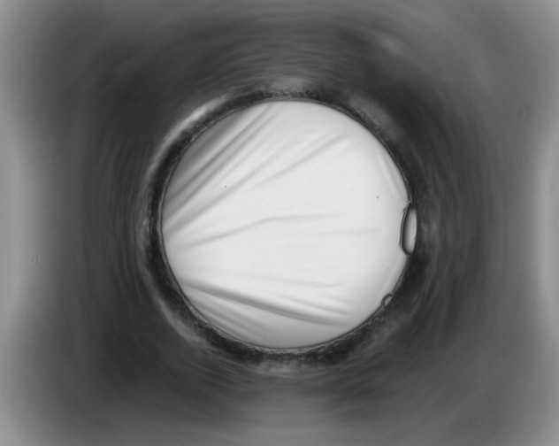 X0000083560728200703091616