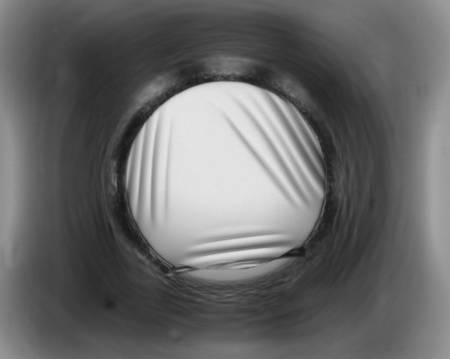 X0000083560731200703091616