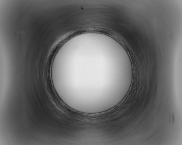 X0000083560732200703091616