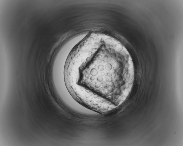 X0000083560734200703091616