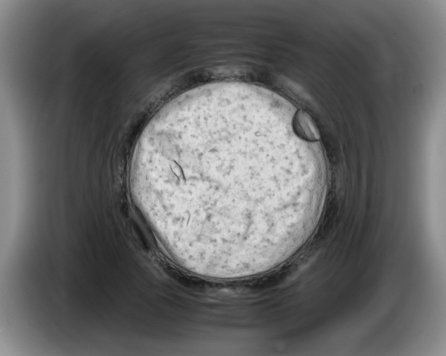 X0000083560737200703091616